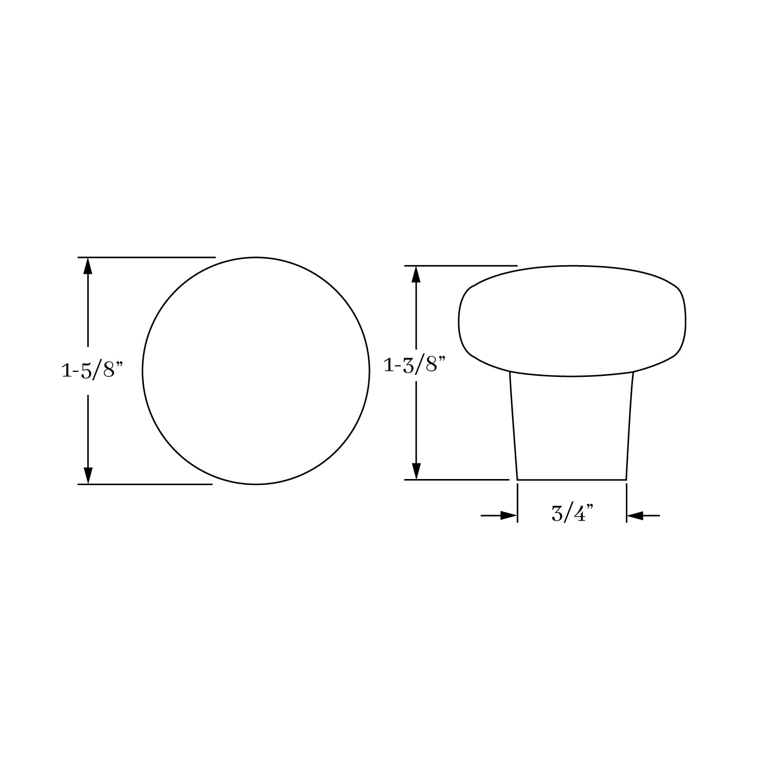 Elegant Polished Brass Montana 1-5/8-Inch Door and Cabinet Knob