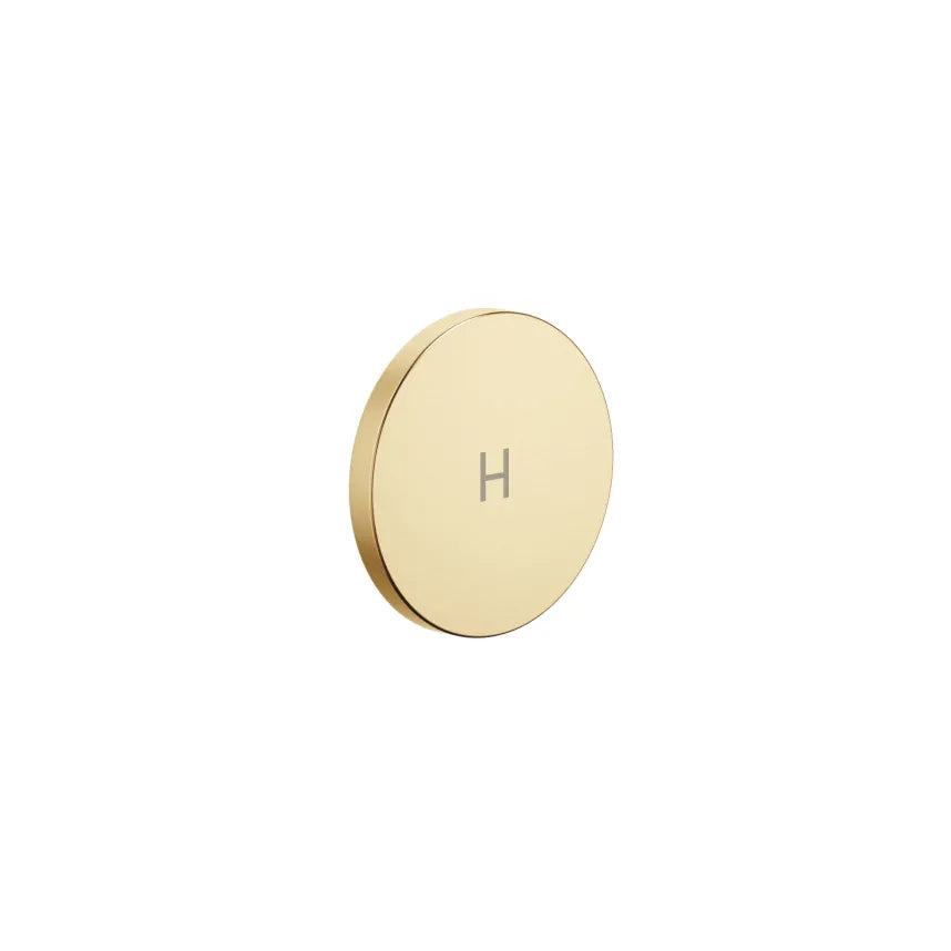 Dornbracht Customizable (CYO) Handle Insert 'H' for Lavatory - Aesthetic and Functional Bathroom Hardware