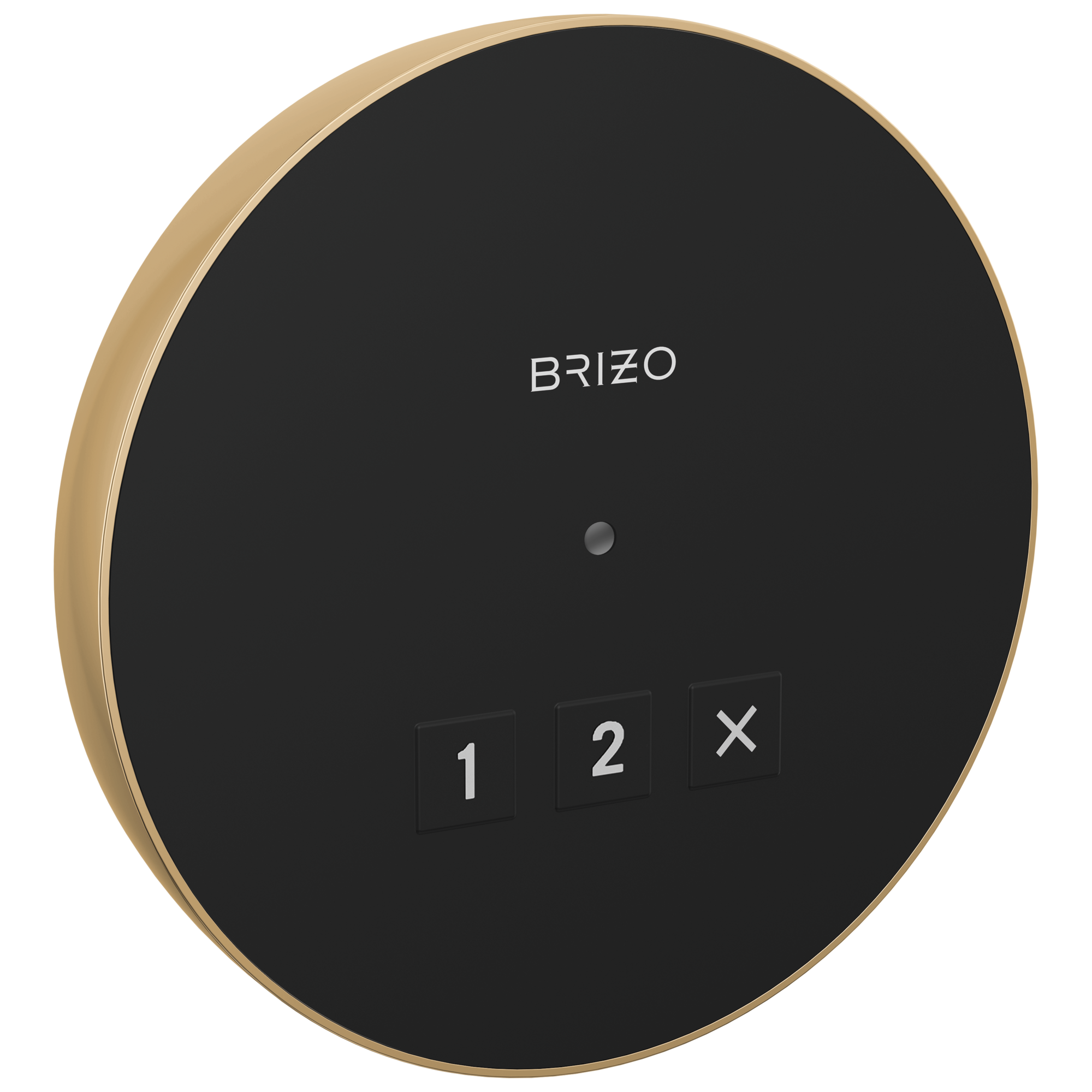 Brizo Circular Exterior Steam System Control for Elevated Bathing Experience