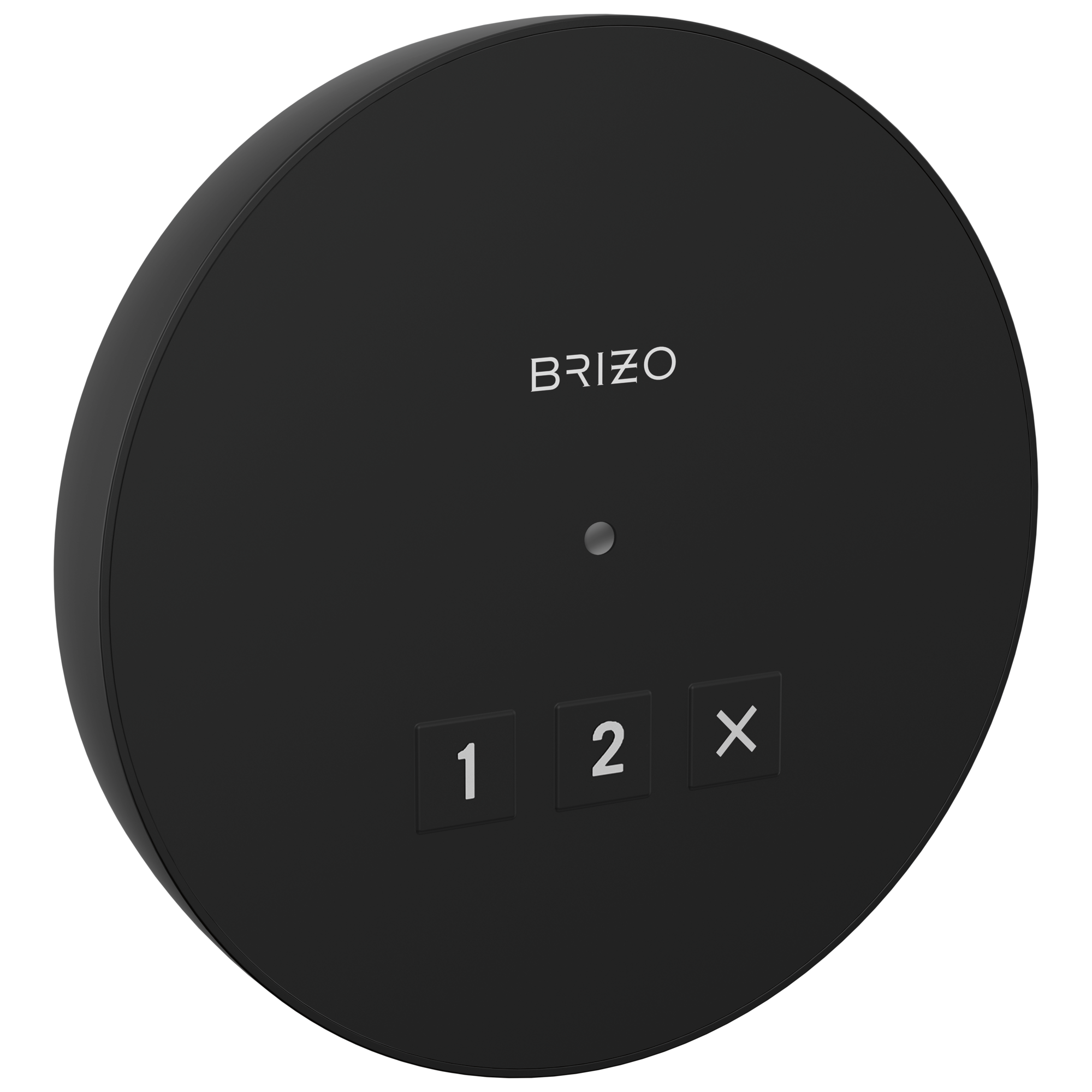 Brizo Circular Exterior Steam System Control for Elevated Bathing Experience