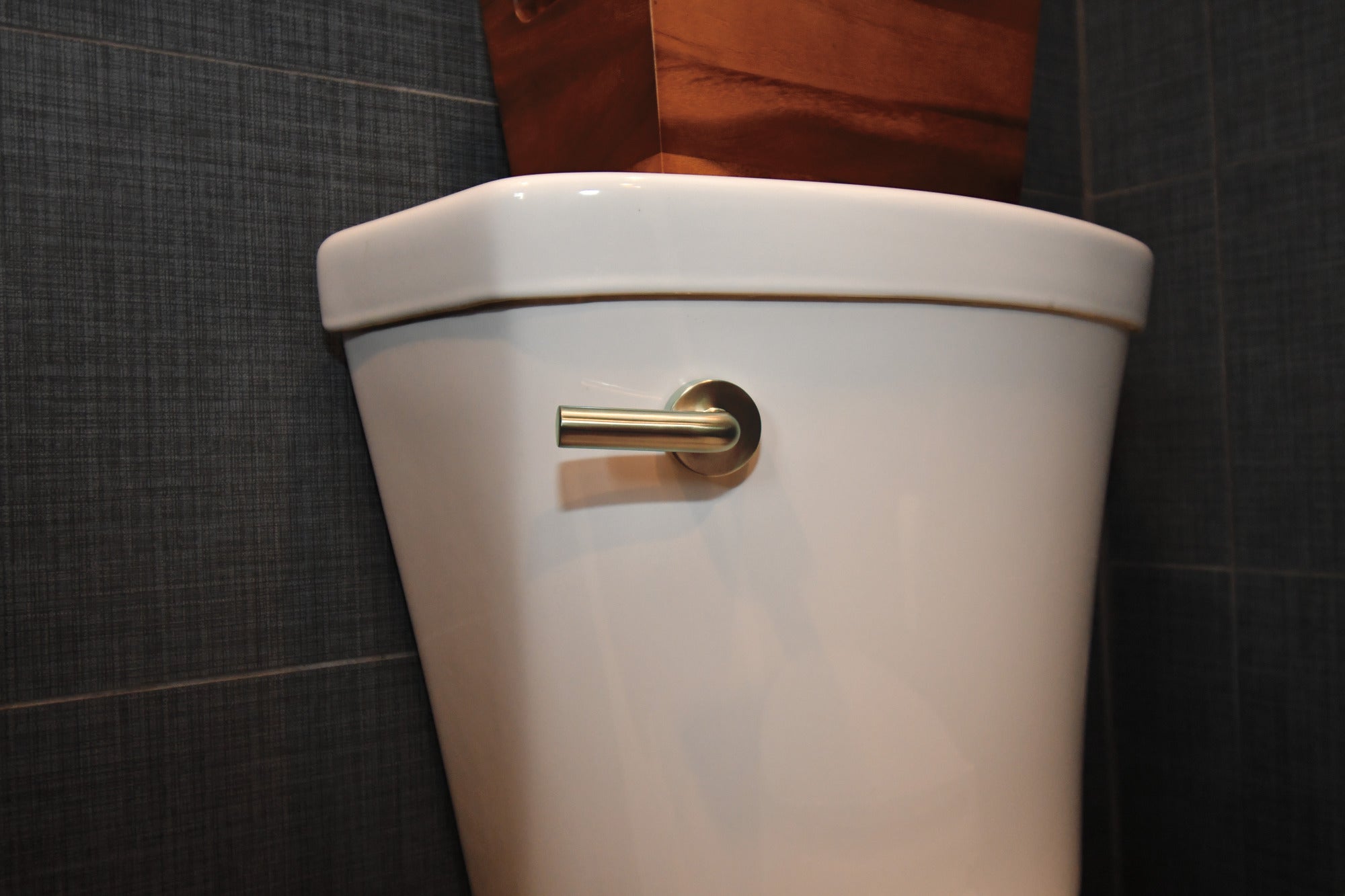 Brizo Litze Premium Zinc Universal Flush Lever for Stylish Bathrooms