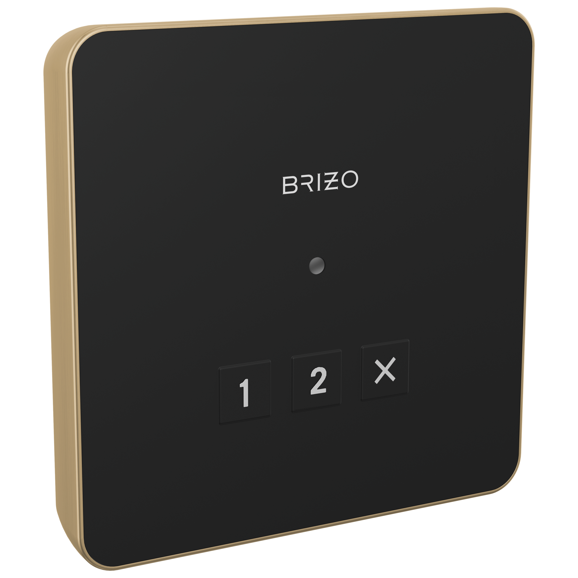 Brizo Square-shaped Exterior Steam System Control for Enhanced Spa-like Home Experience
