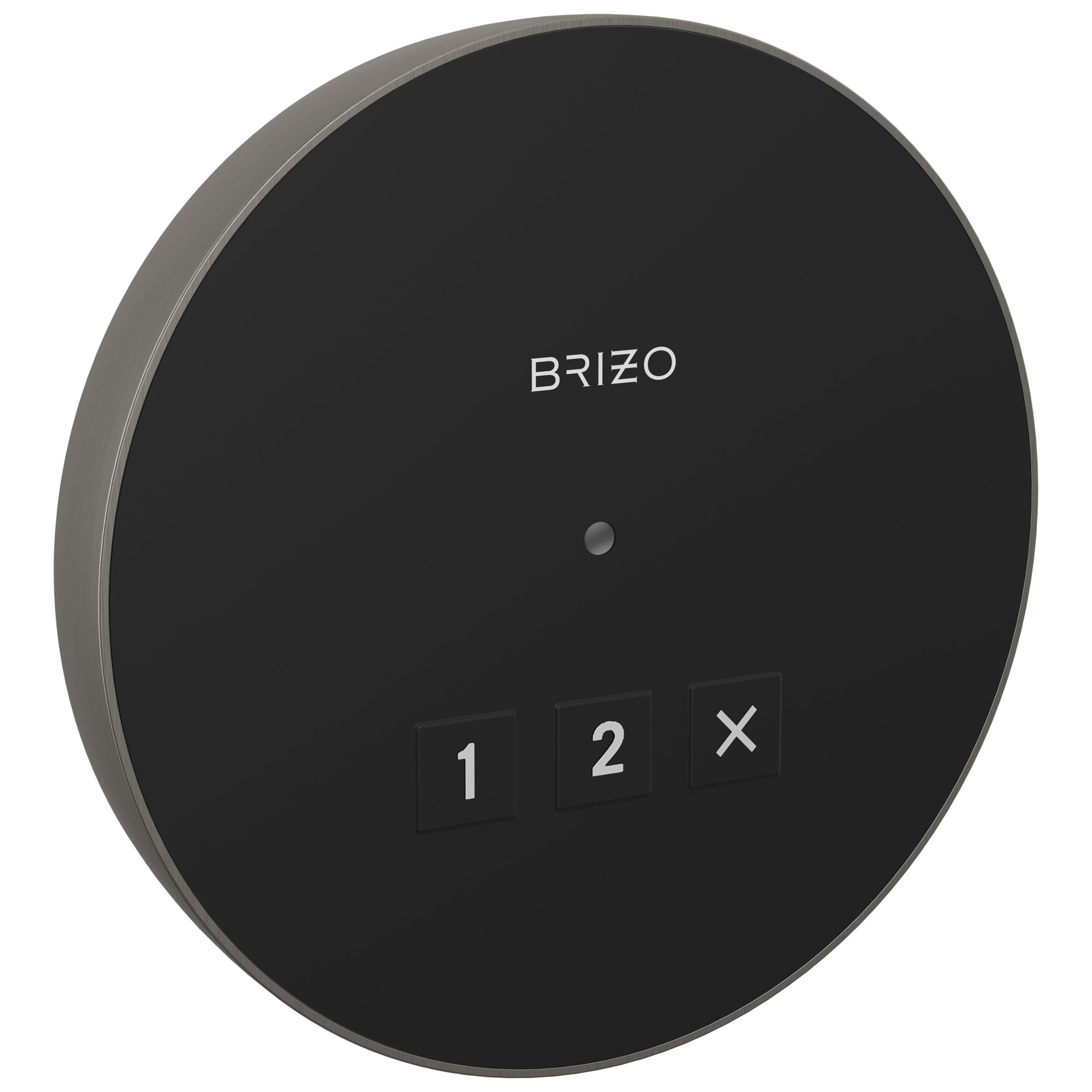 Brizo Circular Exterior Steam System Control for Elevated Bathing Experience