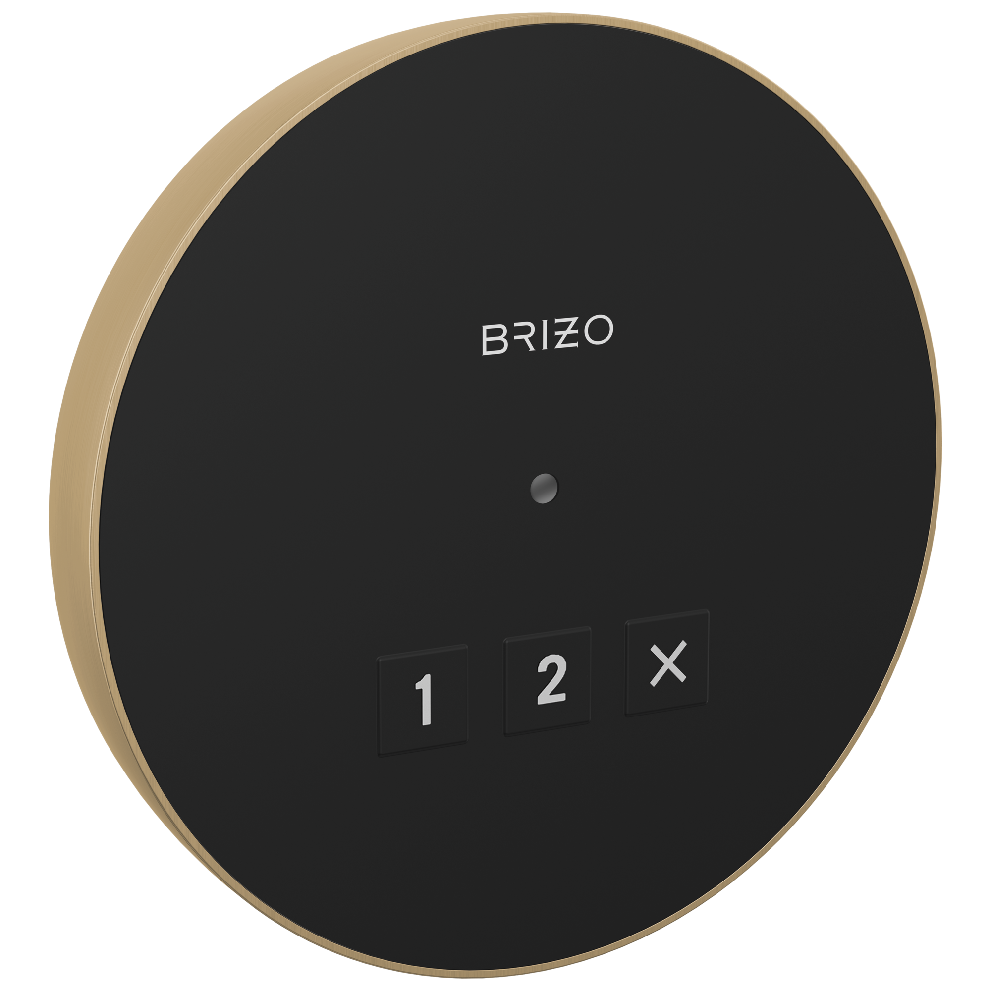 Brizo Circular Exterior Steam System Control for Elevated Bathing Experience