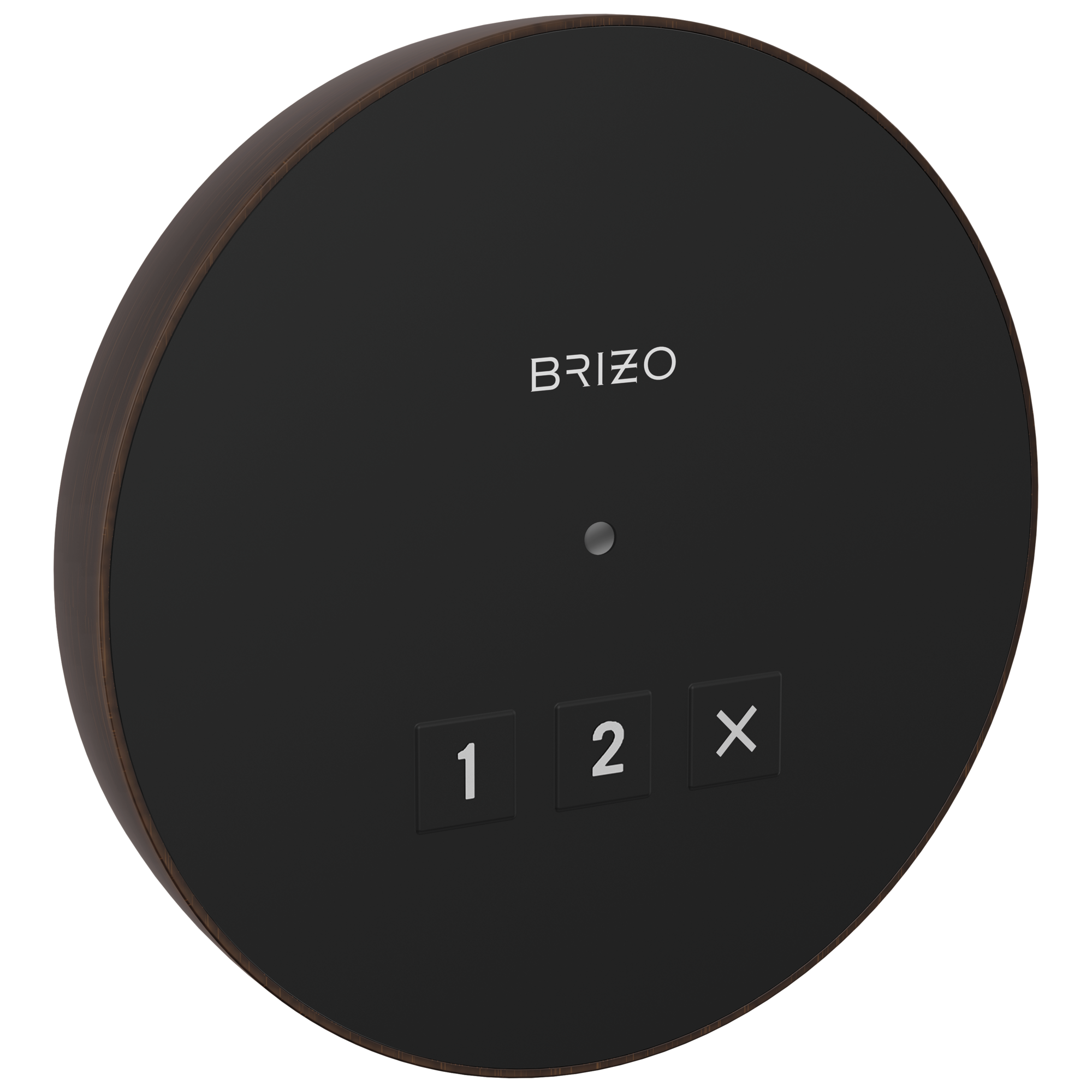 Brizo Circular Exterior Steam System Control for Elevated Bathing Experience