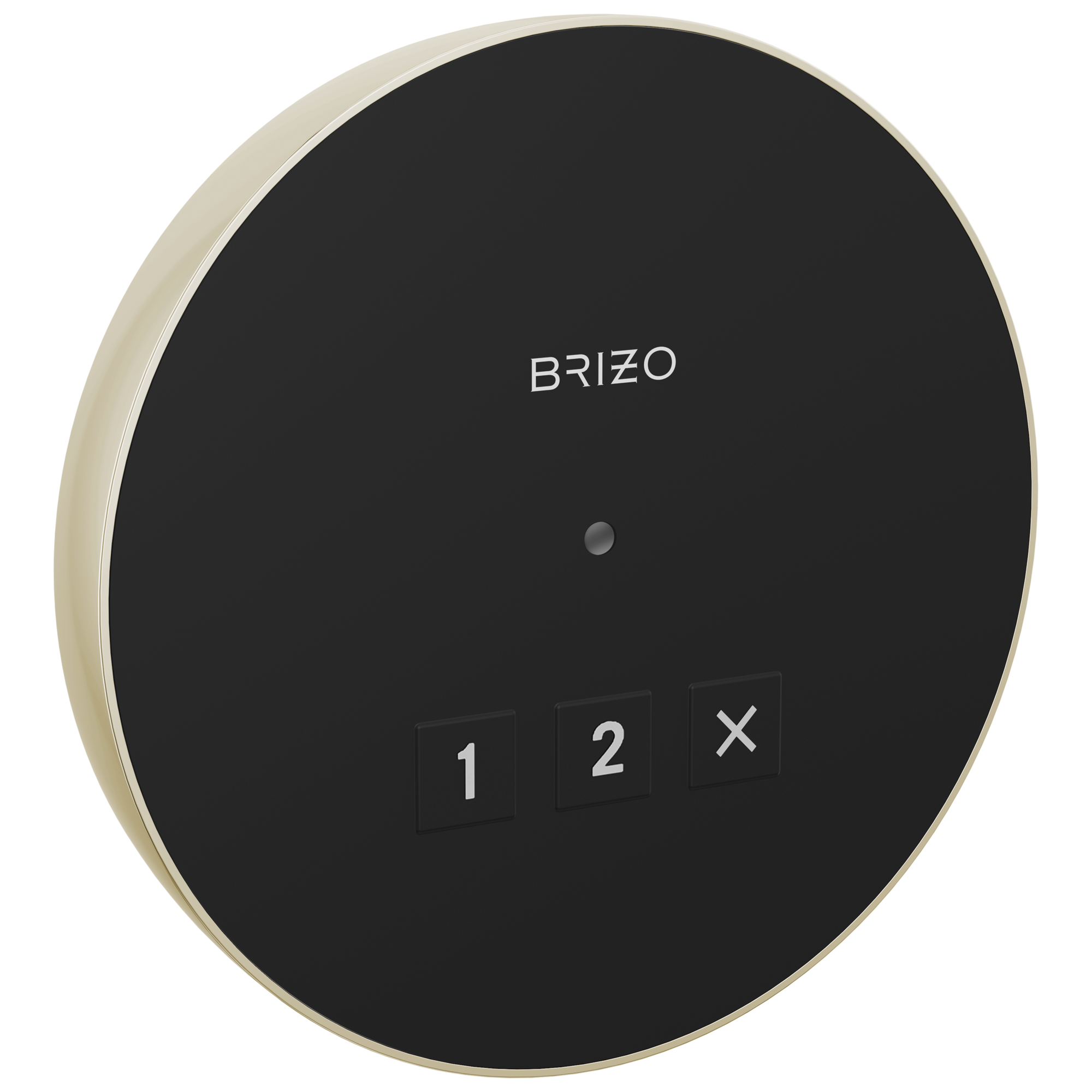 Brizo Circular Exterior Steam System Control for Elevated Bathing Experience