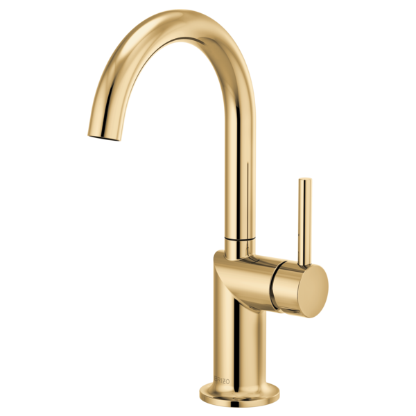 Brizo Odin Modern Bar Faucet with Graceful Arc Spout and Minimalist Handle Design